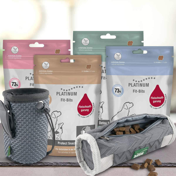 Za dvema sivima vrečkama za priboljške PLATINUM Paket okusov Priboljškov za Pse so nameščene štiri pisane vrečke s pasjimi priboljški; na embalaži so ilustracije psov in etikete v nemščini.