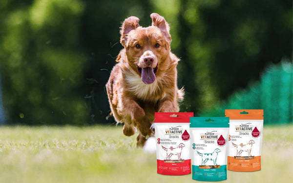 VETACTIVE Zdravi in Naravni priboljški za Pse