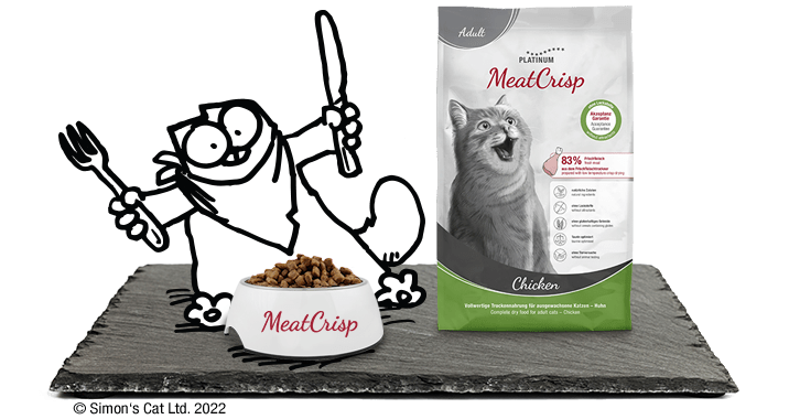 Suha hrana za mačke